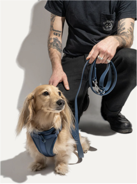 Person holding a navy blue dog leash beside a dog