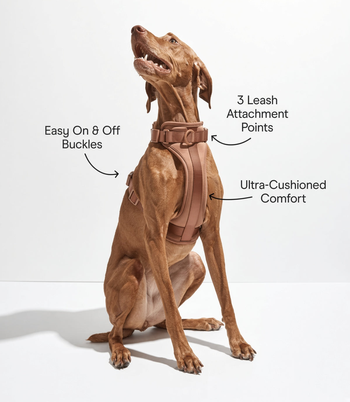 Brown adjustable dog harness shown on a dog