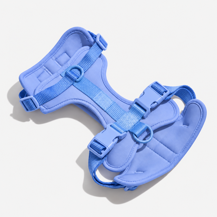 Blue adjustable dog harness with neck and chest straps