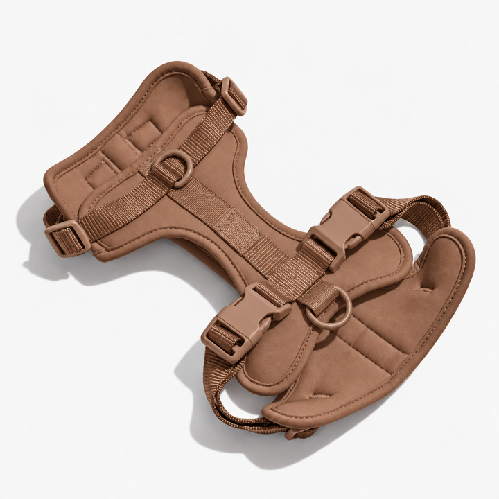 Brown adjustable dog harness with neck and chest straps
