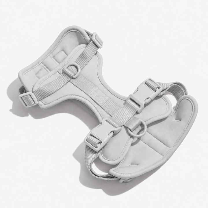 Light Gray adjustable dog harness with neck and chest straps