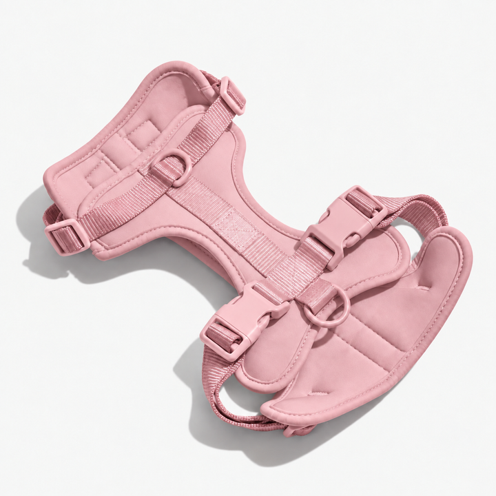 Pink adjustable dog harness with neck and chest straps
