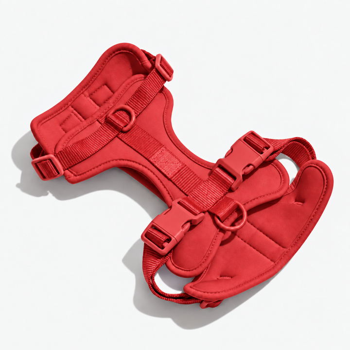Red adjustable dog harness with neck and chest straps