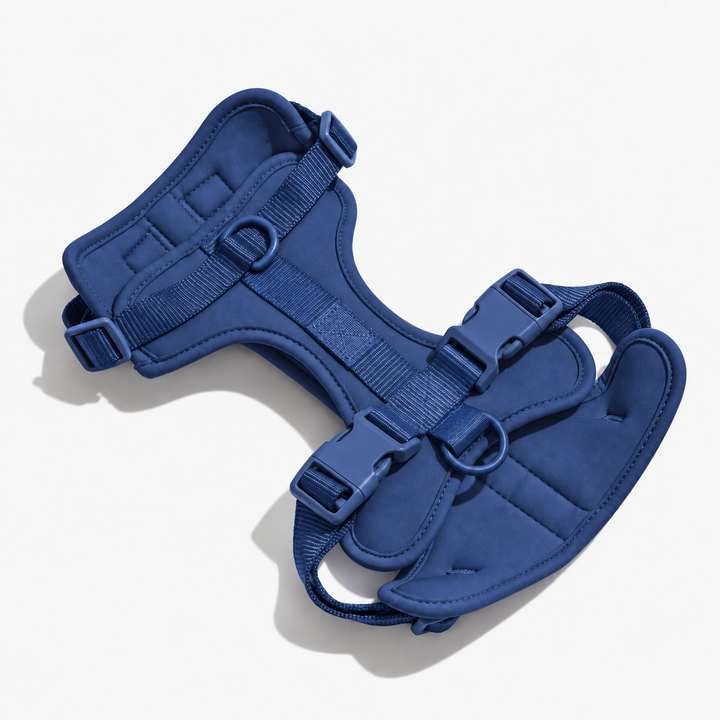 Sapphire Blue adjustable dog harness with neck and chest straps
