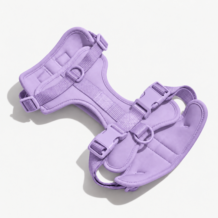 Violet adjustable dog harness laid flat
