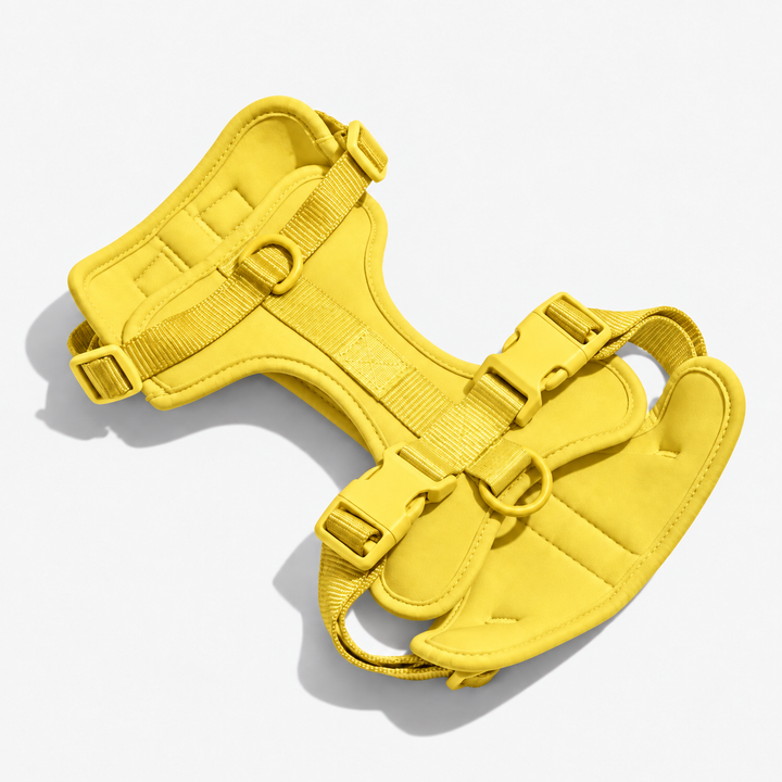 Yellow adjustable dog harness with neck and chest straps