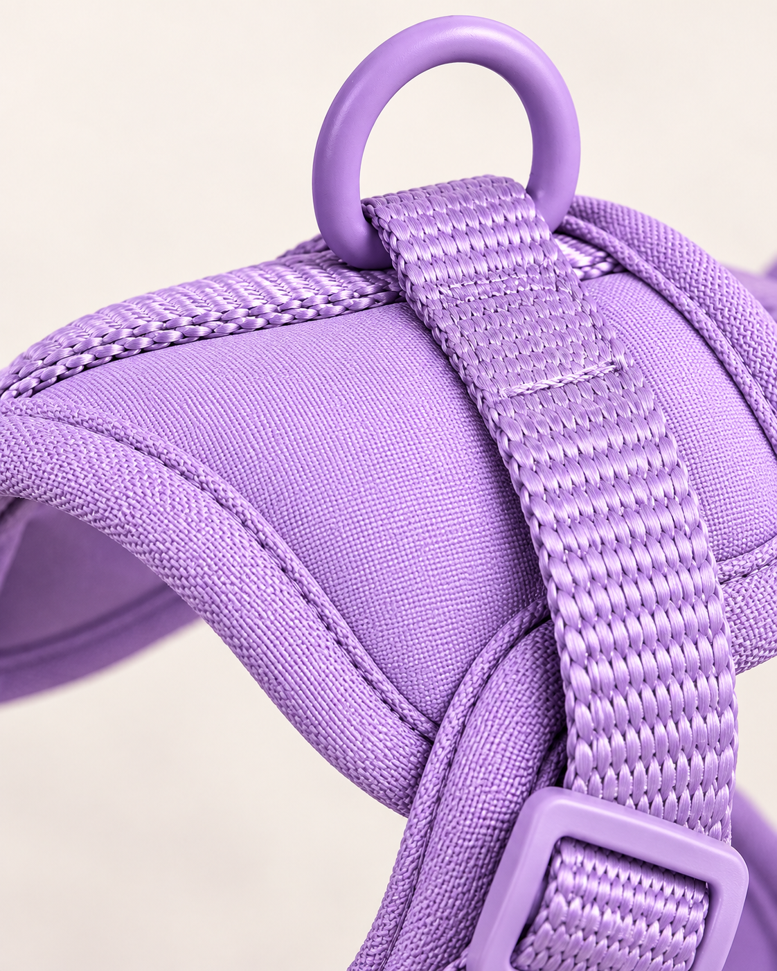 Close-up of dog harness padding, stitching and attachment rings